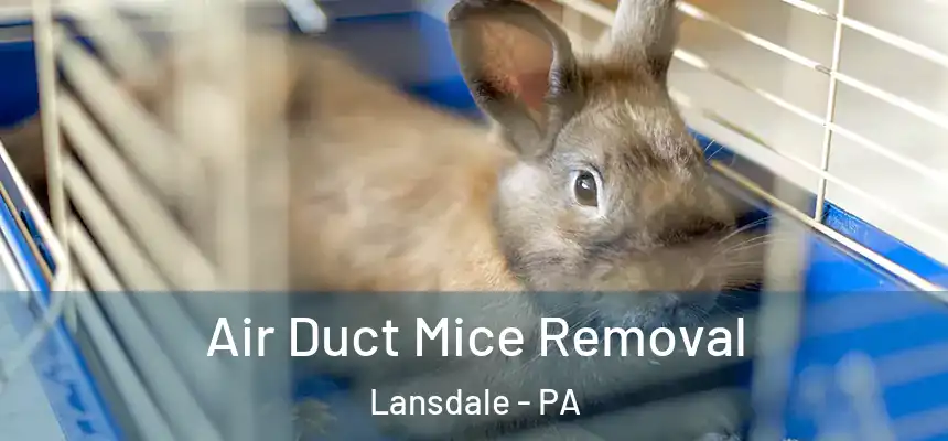  Air Duct Mice Removal Lansdale - PA