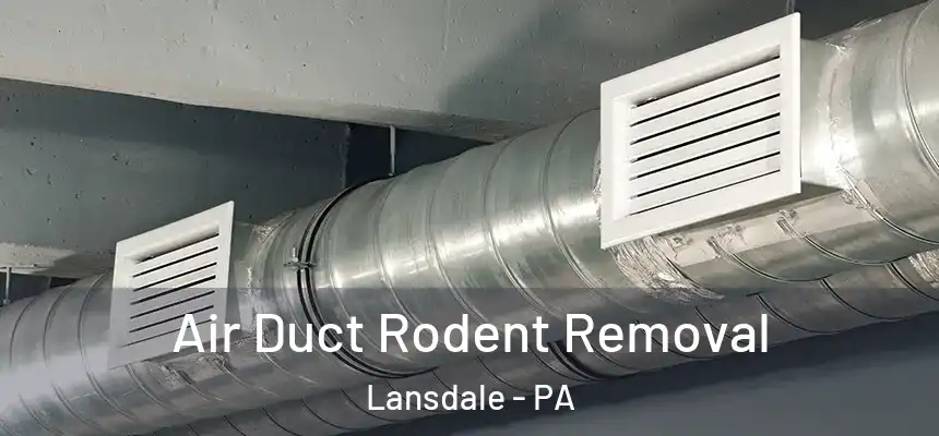  Air Duct Rodent Removal Lansdale - PA