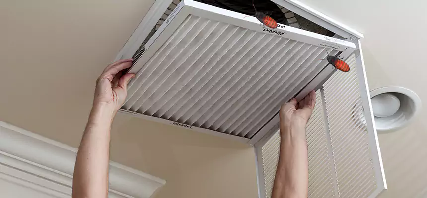 Preventive Cockroach-Proofing for Ducts in Lansdale