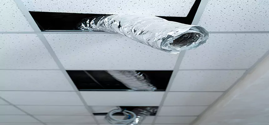 Affordable HVAC Sanitizing After Pest Removal in Lansdale