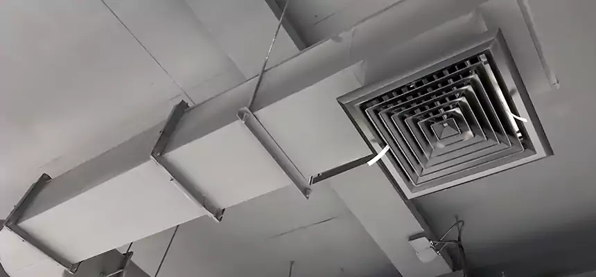 Our Pest Removal From Ducts Services in Lansdale, PA