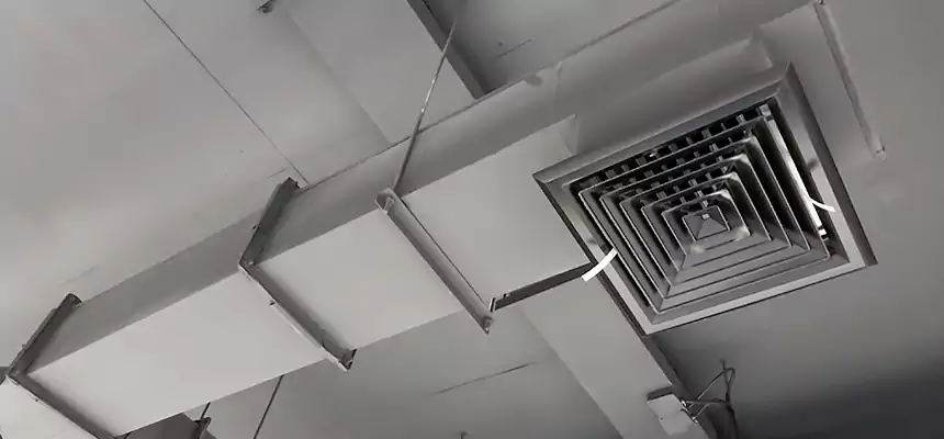 Our Rodent Droppings In Vents Services in Lansdale, PA