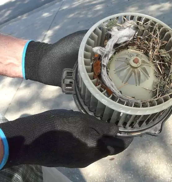 About Air Duct Mice Removal in Lansdale, PA