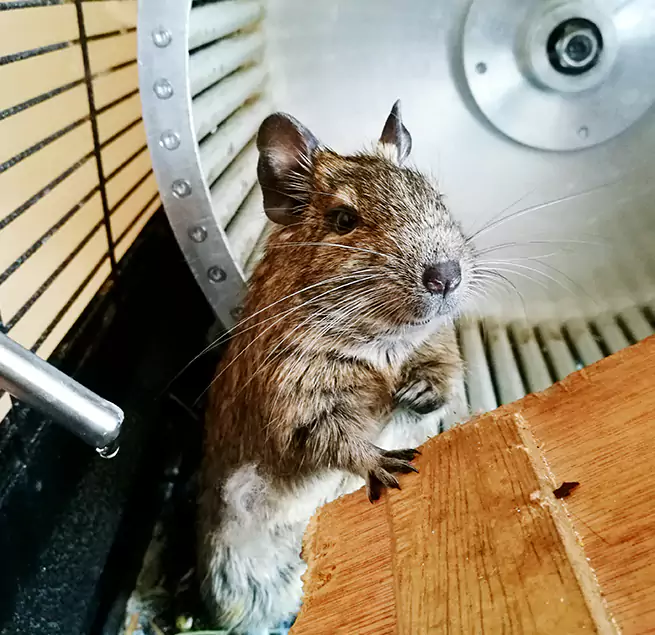 Why Homeowners & Businesses Trust Us Lansdale, PA?